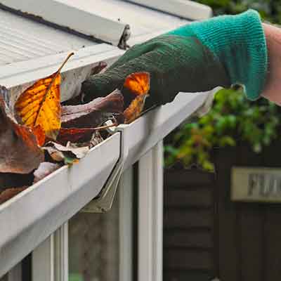 Gutter Cleaning Services
