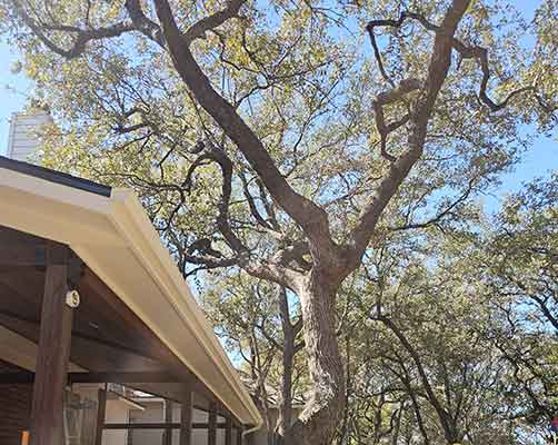 Gutter Repair and Cleaning Services